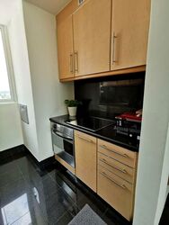 The Hermitage (D10), Apartment #566897991